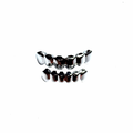 SILVER GRILLZ SET